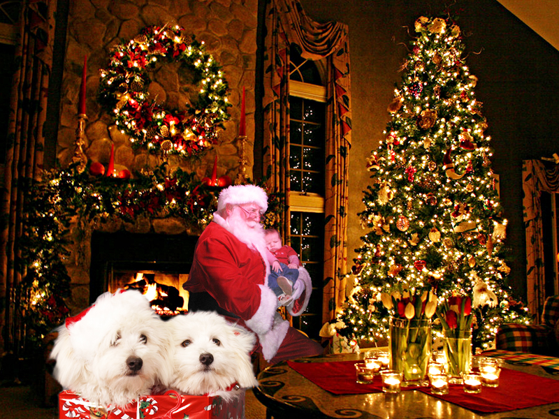 Craciunul este ultima din sarbatorile lui 2015