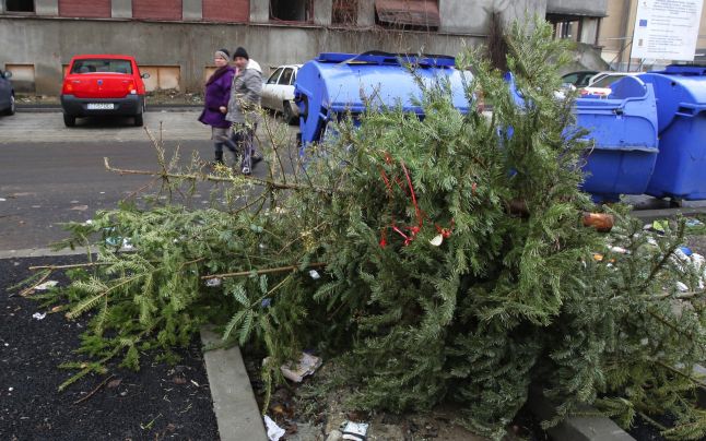 Brazii aruncati la gunoi sunt transformati in ingrasamant