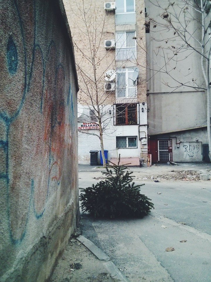 Nici nu a trecut bine Craciunul ca pe strazile Capitalei au aparut deja primii brazi aruncati