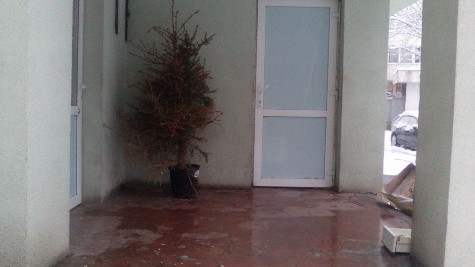 Unii nici nu se mai obosesc sa ii duca la gunoi, ci ii lasa in scara blocului