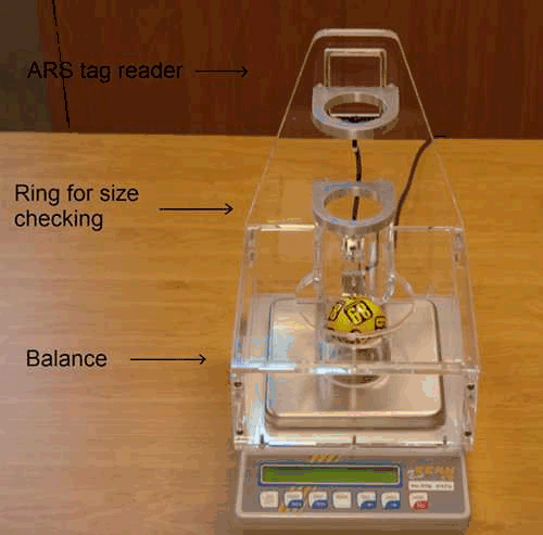Trei senzori verifica bilele