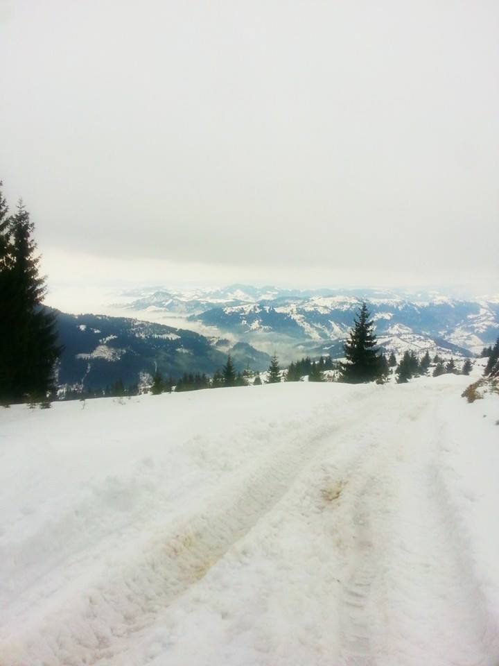 Drumul prin troienele de zapada a fost extrem de anevoios