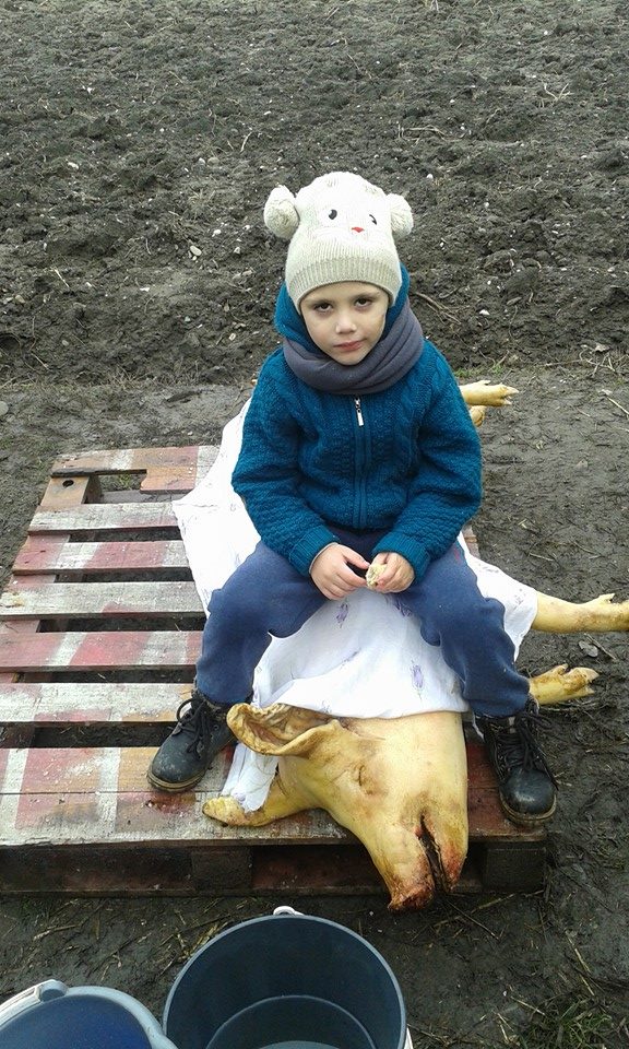 Pustiul se simte bine acum, iar in primavara va fi supus unei noi interventii