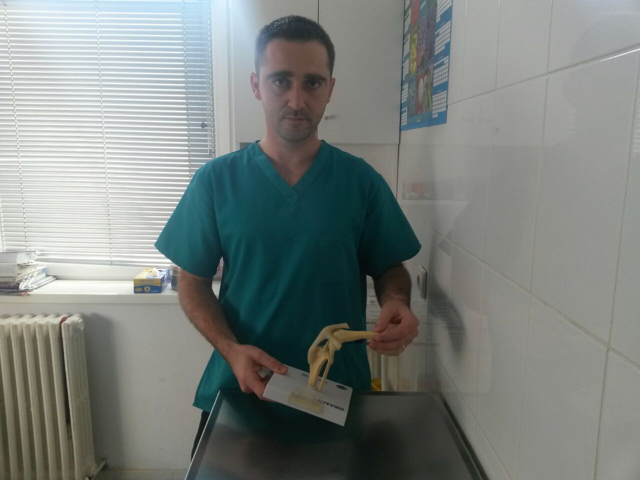 Doctorul veterinar este un aliat de incredere impotriva luptei contra capuselor