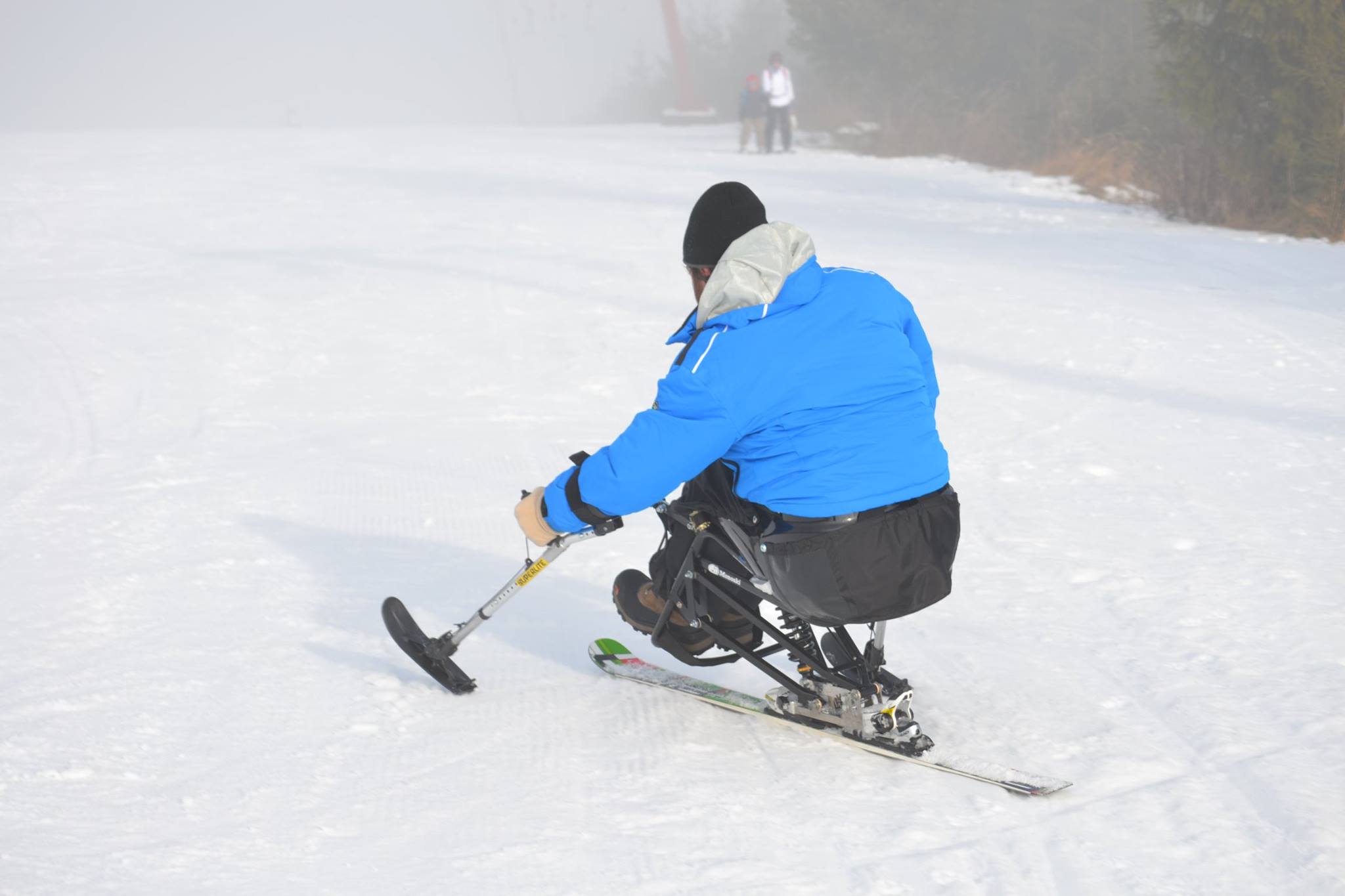 Artistul este cel mai bun exemplu al perseverentei