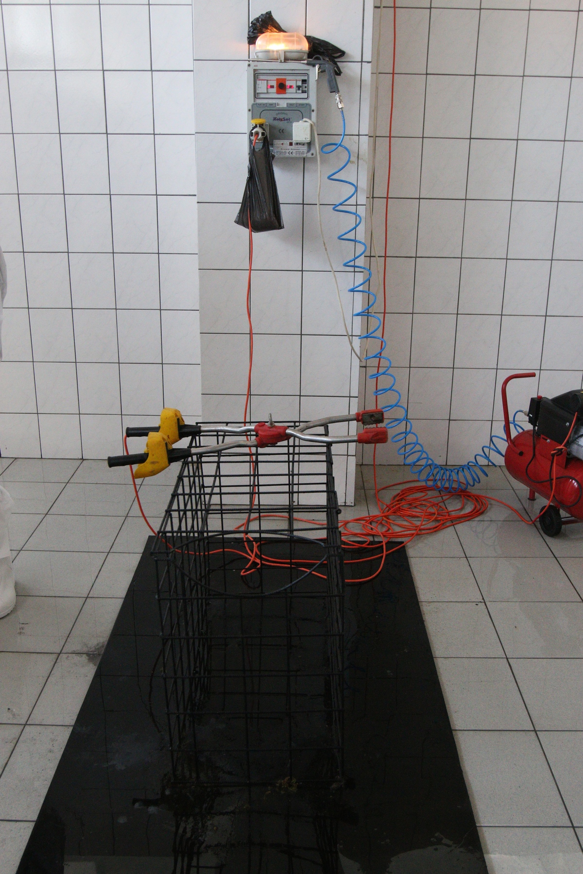 Piata Aparatorii Patriei este singura din Capitala care are un abator