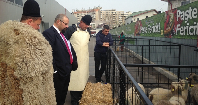 Piedone si Ghita Ciobanul