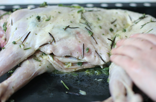 Doctorul Menci ne recomanda ierburile amare langa miel