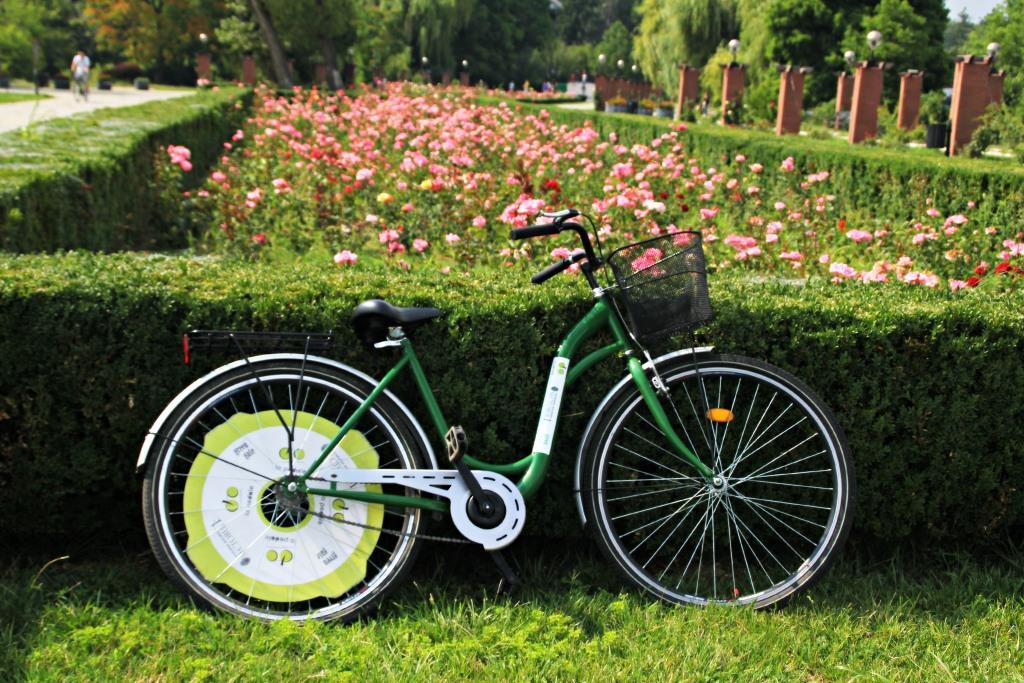 Bicicletele se inchirieaza gratuit