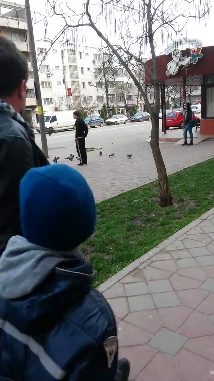 Cand cineva era prin preajma sa, tanarul se facea ca admira porumbei