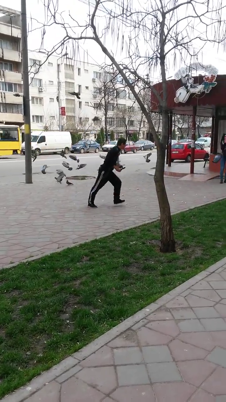 Dupa ce a pus mana pe un porumbel baiatul a rupt-o la fuga