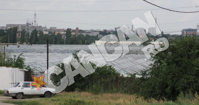 Serele detinute de Horia Culcescu