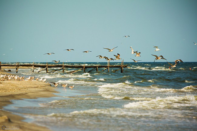 Plaja din Crobu a fost clasata pe locul 4