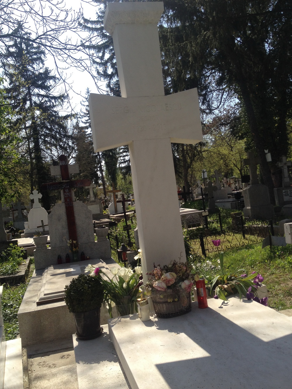 La mormantul regizorului Sergiu Nicolaescu au aparut cateva ghivece de flori