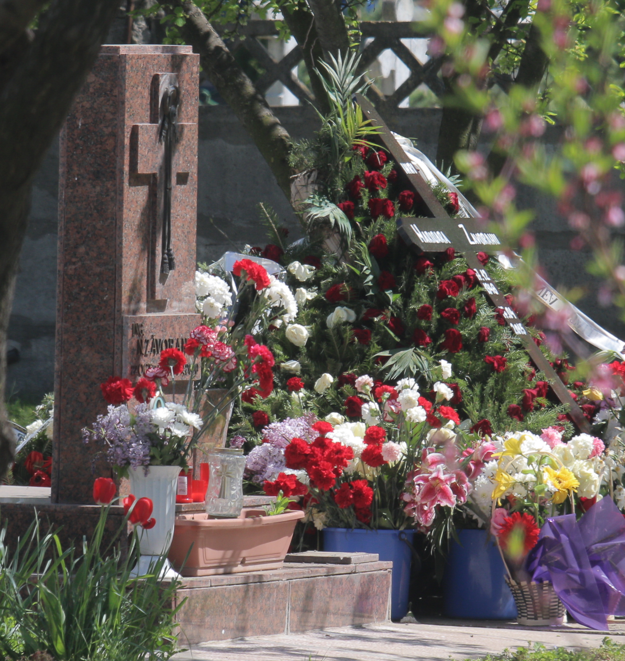 Crucea Marioarei Zavoranu sta rezemata pe o coroana de trandafiri rosii