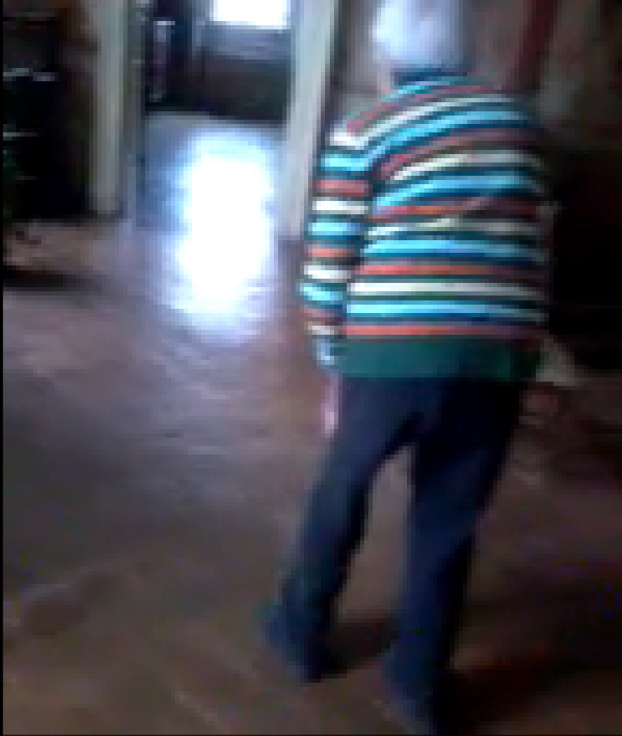 Romanca vorbeste in italiana si romana