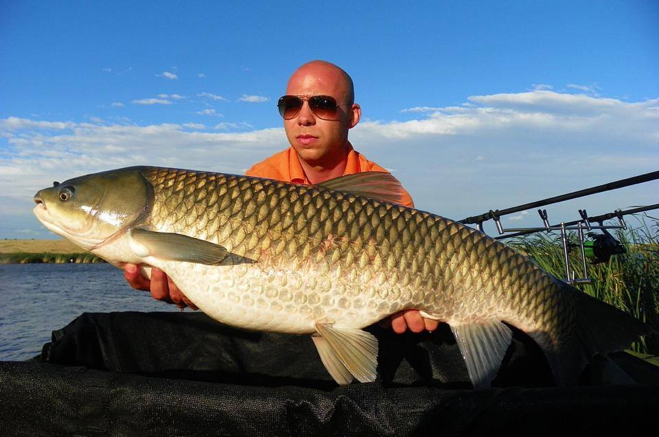 Cand era mic, de cum ajungea pe balta campionul se apuca sa arunce cu pietre in balta