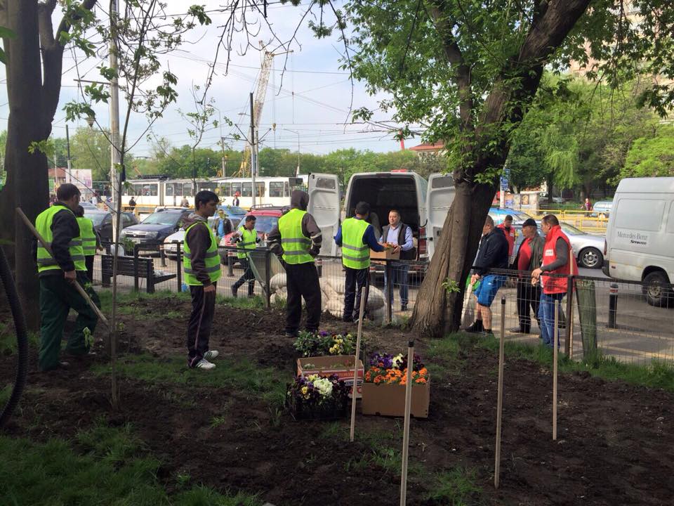in loc sa faca gratare au iesit la plantat de flori