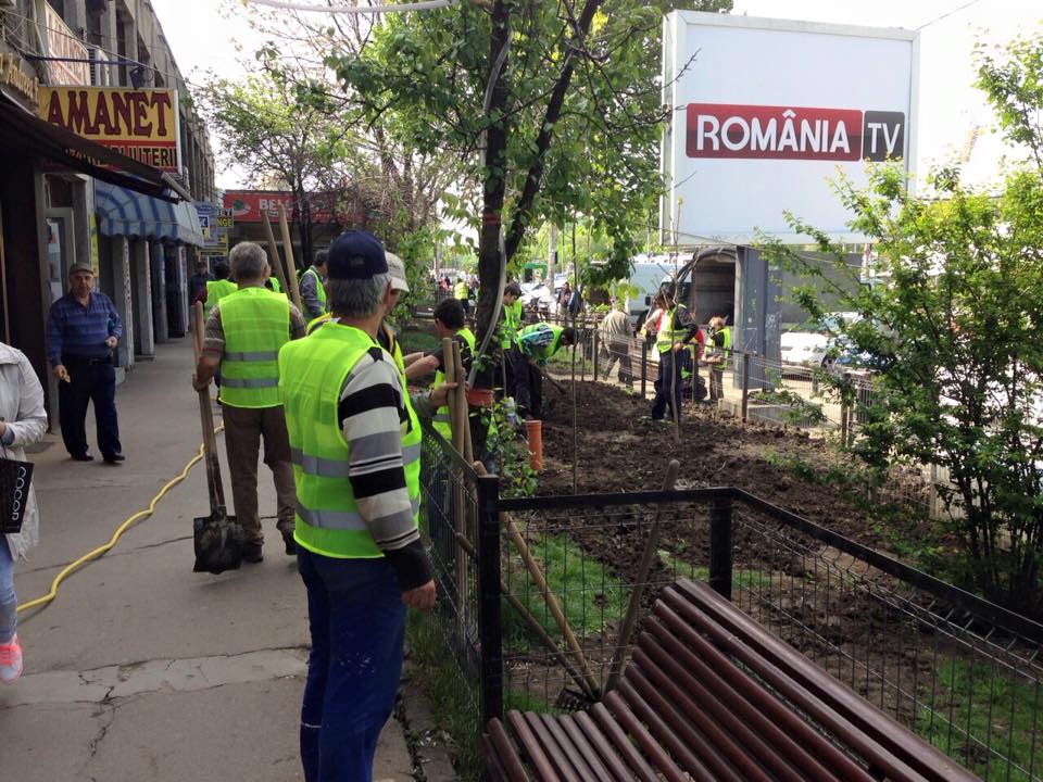 stefan florescu si copaci