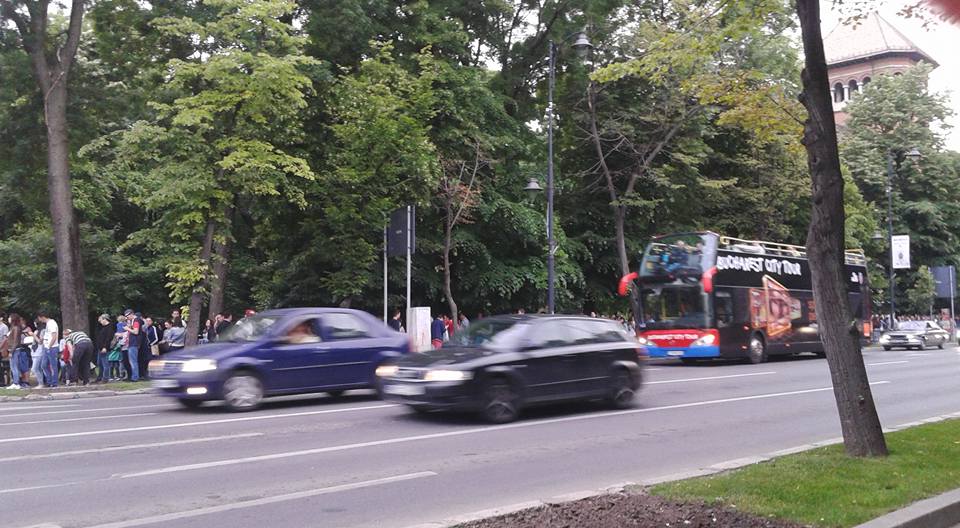 Coada ajungea pana la Muzeul Taranului Roman