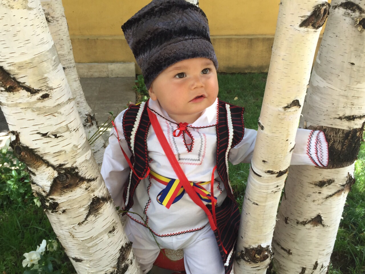 David este rasfatatul familiei