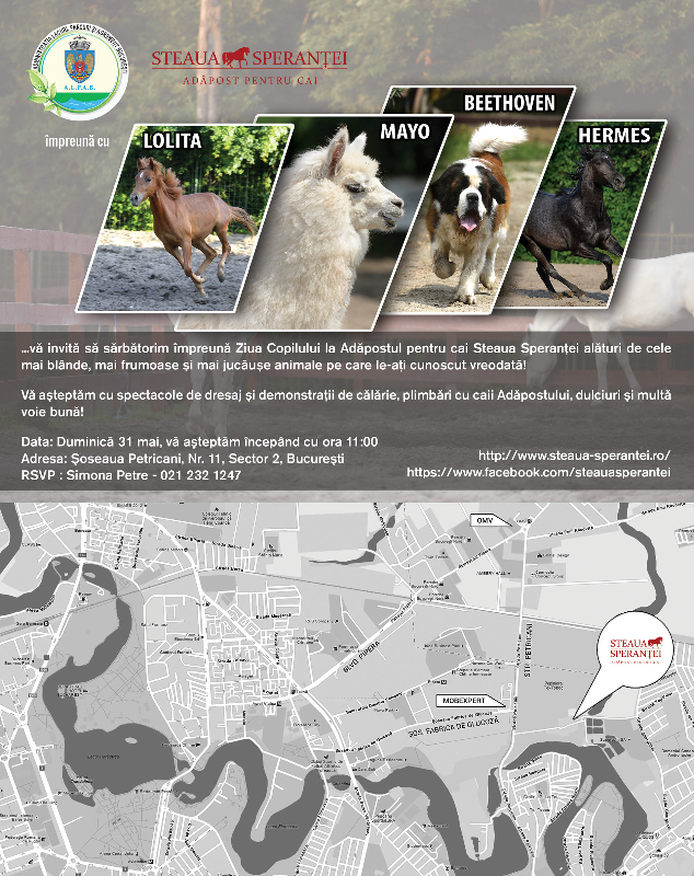 Ziua Copilului poate fi sarbatorita intr-un cadrul inedit la adapostul de cai Steaua Sperantei