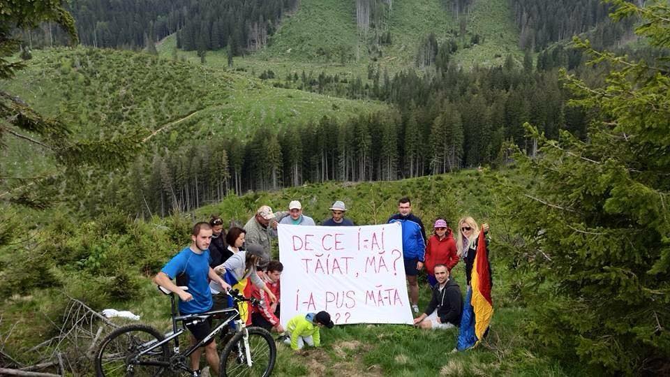Cativa tineri au protestat vis-a-vis de defrisarile ilegale