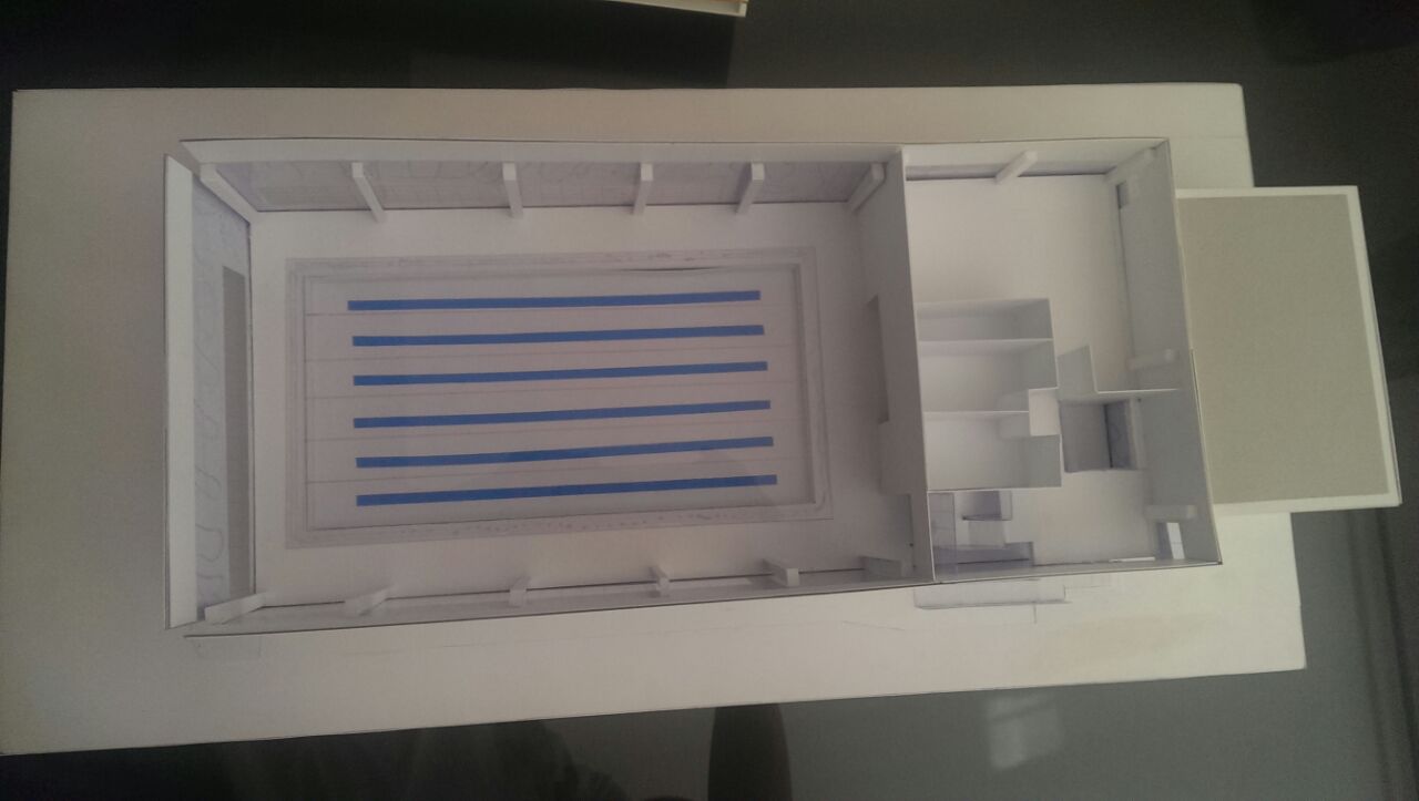 Piedone va construi un nou bazin de inot in sectorul 4