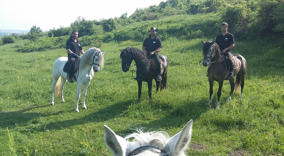 Sotul cantaretei Julia se potriveste perfect pentru acest rol