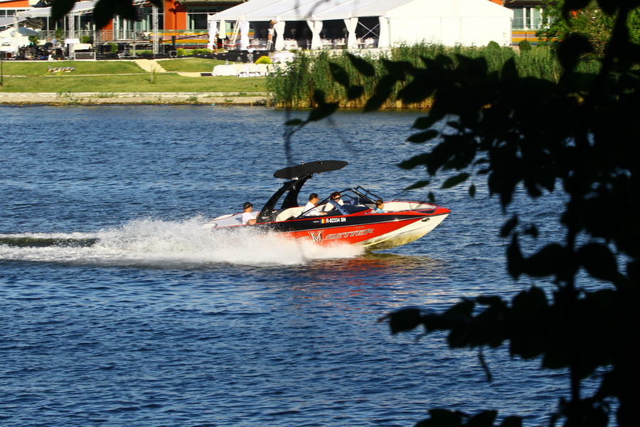 Gheorghe Stelian, zis “Stelu”, este cel care a turnat-o pe Alina Bica, fosta sefa DIICOT in dosarul despagubirilor de la ANRP