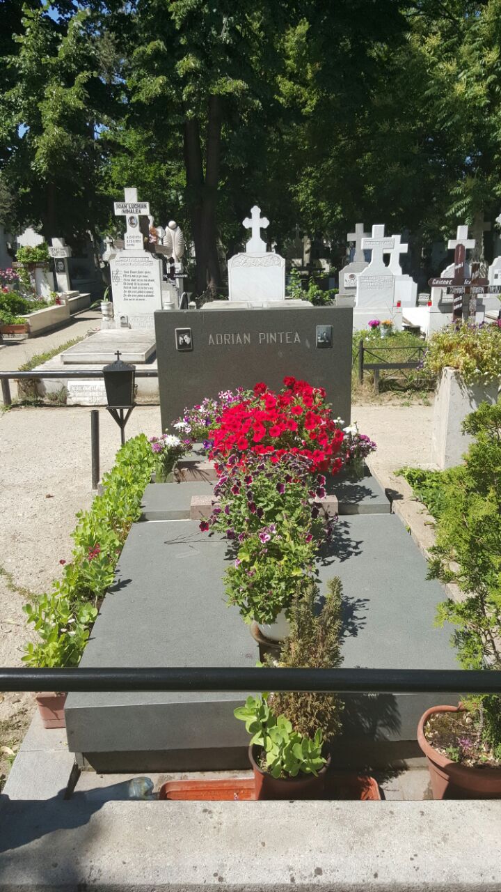 Vaduva marelui actor Adrian Pintea vine aproape saptamanal la mormantul acestuia