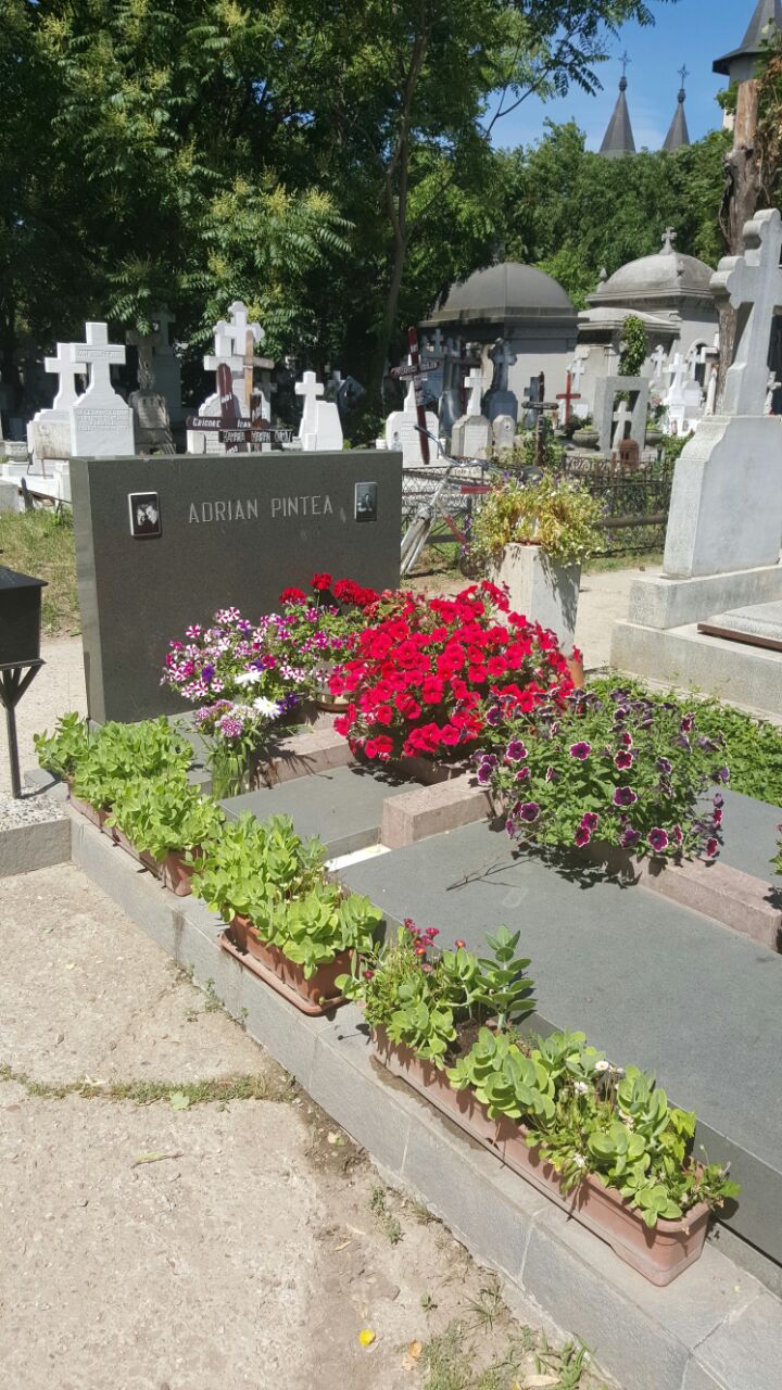 Monumentul funerar a fost facut la un an dupa disparitia maestrului