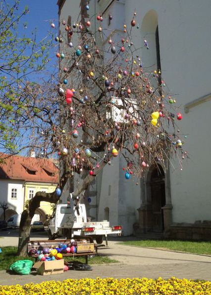 Proiectul a fost făcut în ”Saptămâna altfel”