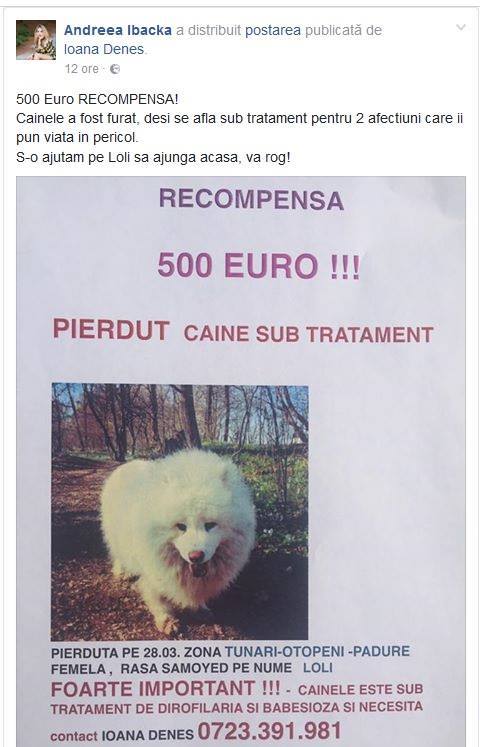 Andreea Ibacka a distribuit postarea