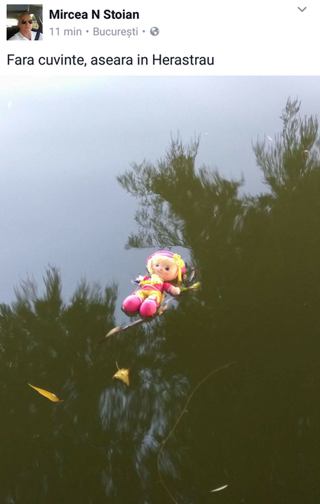 Imaginea publicată de Mircea N. Stoian pe contul său de Facebook