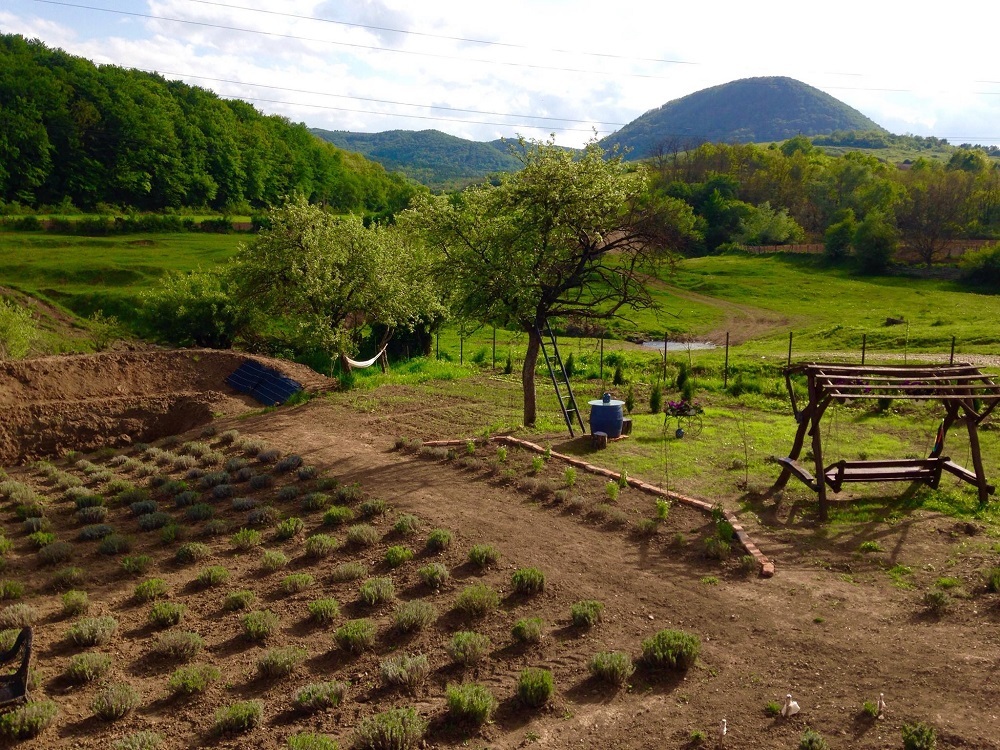 Sursa foto: Facebook