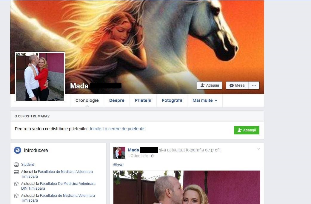 Acesta e contul de Facebook al Mădălinei, iar la poza de copertă are un cal pe care este o tânără blondă care seamănă cu ea. Acesta pare că zboară spre un cer în flăcări. Sursa foto: Facebook