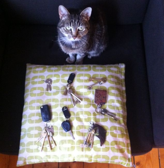 Faceţi cunoştinţă cu Milo, pisica ce nu se poate opri din furat chei! Aţi putea fi supăraţi pe ea?