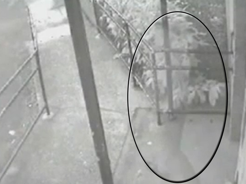 3 secunde de GROAZA surprinse de camerele de supraveghere pe care nimeni nu le poate explica! Fiinţa care a declasat PANICA pe net