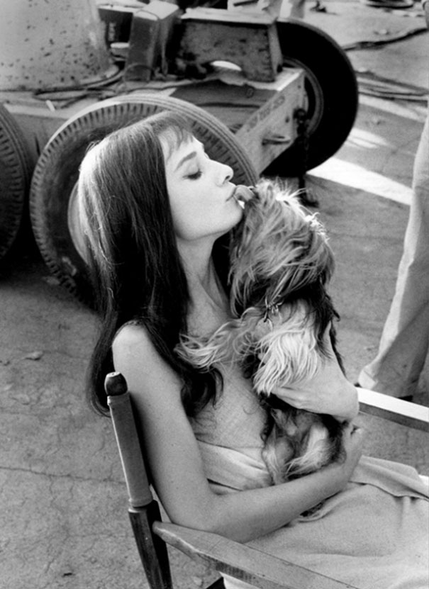 Audrey Hepburn alaturi de catelul ei Mr. Famous