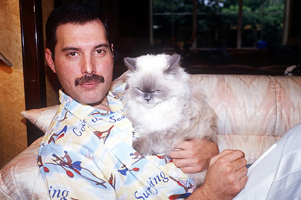 Freddie Mercury era un iubitor de pisici