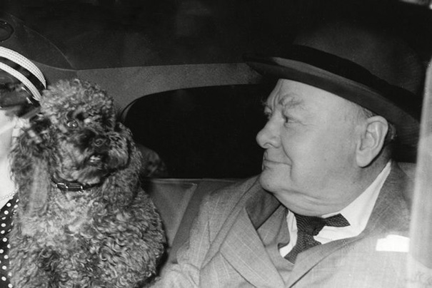 Fostul premier al Angliei, Winston Churchill alaturi de cel mai bun prieten la sau, Rufus