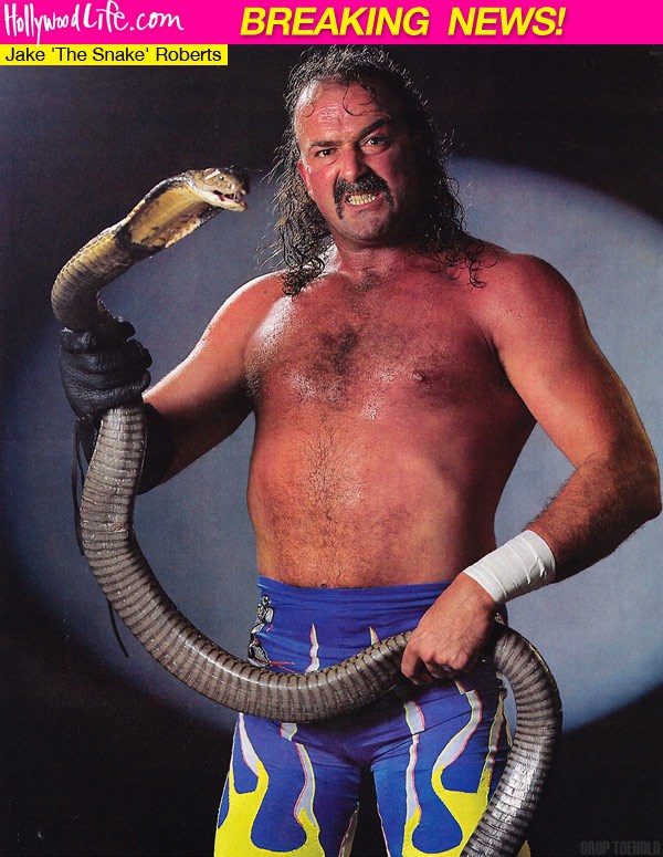 Jake a debutat in wrestling in 1986