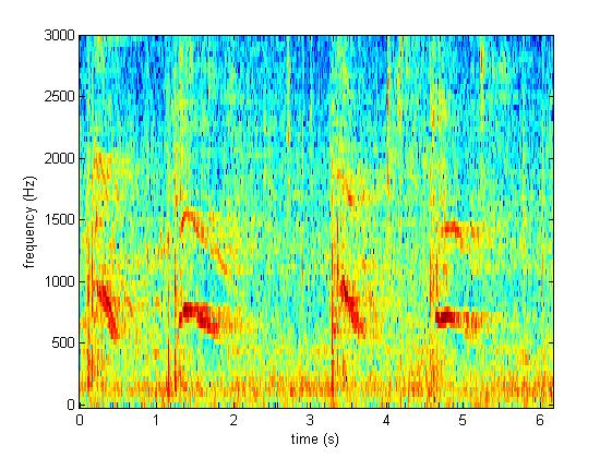 Spectograma urletelor Maria Sharapova si al Victoriei Azarenka