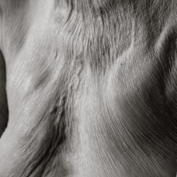 Fiecare rid a fost surprins intr-o maniera artistica, avand menirea sa ne faca sa fim constienti de frumusetea noastra, indiferent de varsta