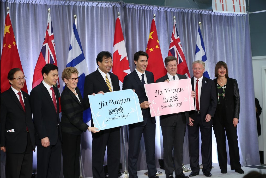 Justin Trudeau a numit puii de urs.