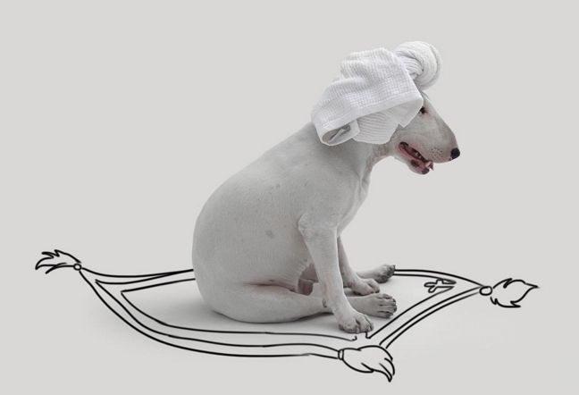 I-a desenat chiar şi un covor zburător ca cel al lui Aladdin. 