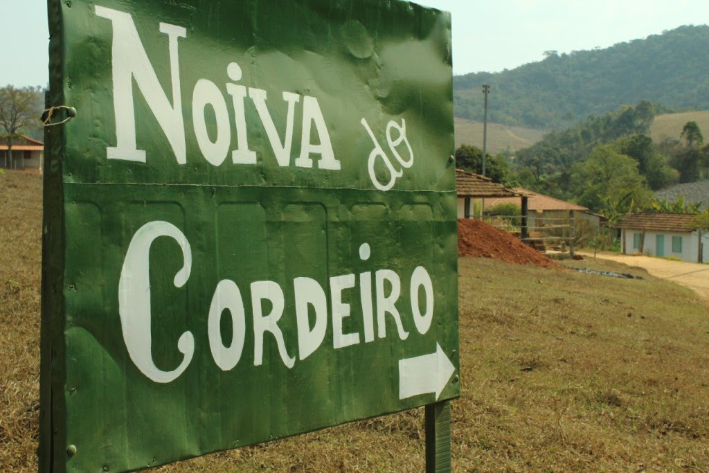 Cu toate acestea, unele tinere isi doresc sa cunoasca eventuali pretendenti