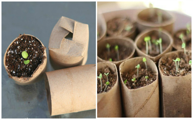 Suport pentru ghivece.