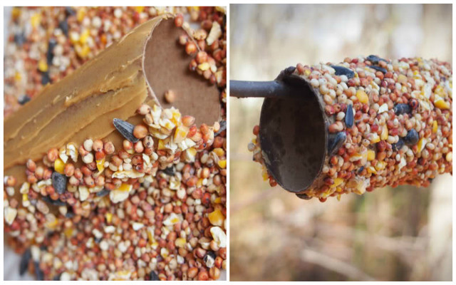 Suport pentru hrana păsărilor.